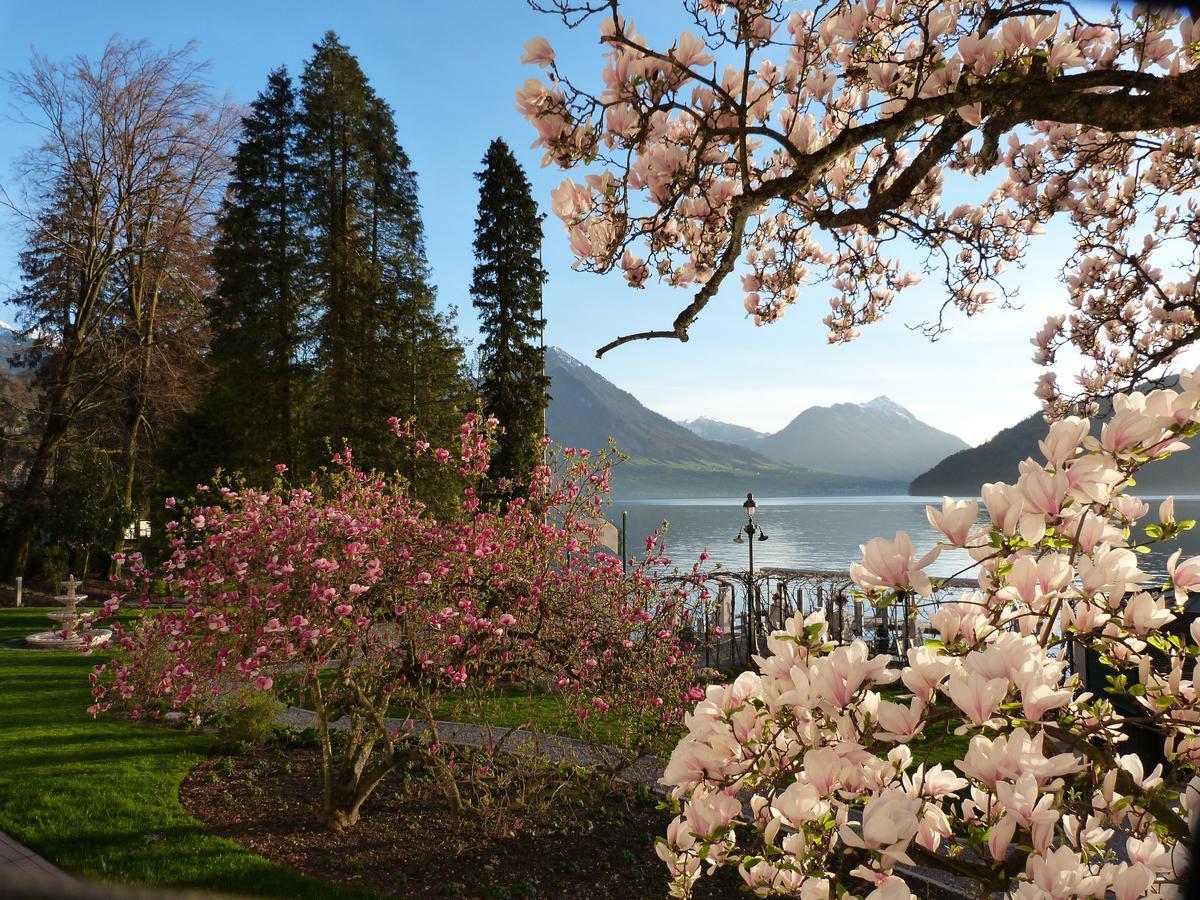 Hotel Vitznauerhof - Lifestyle Hideaway At Lake Lucerne Стая снимка